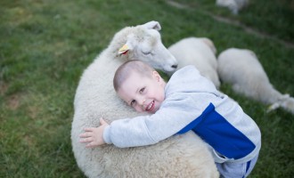 chlapček s ovečkou.jpg